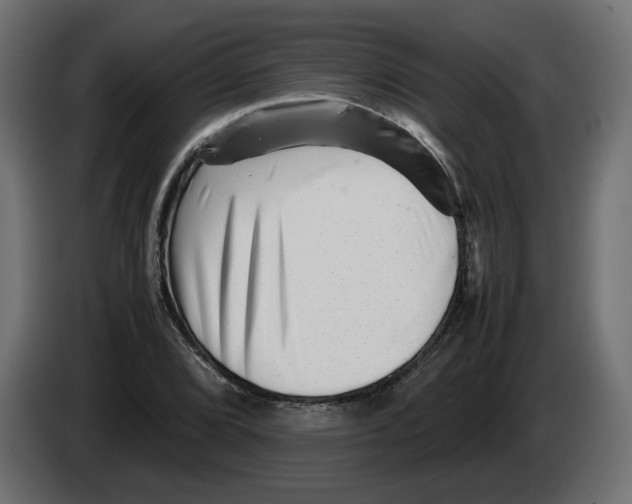 X0000082951072200703020144