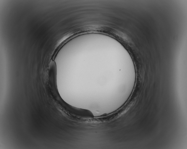 X0000082951073200703020144