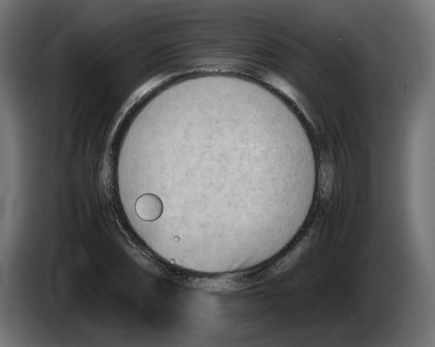 X0000082951074200703020144