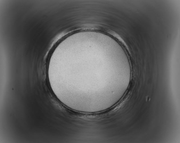 X0000082951075200703020144