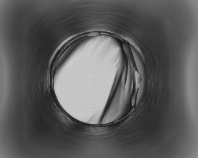 X0000082951076200703020144