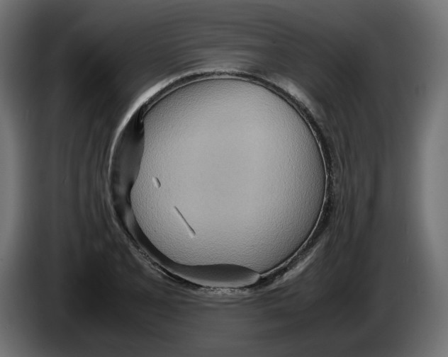 X0000082951077200703020144