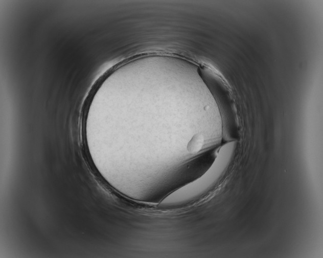 X0000082951079200703020144