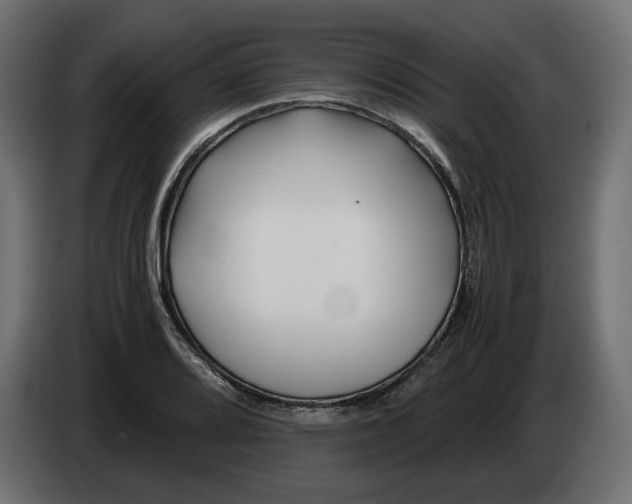 X0000082951080200703020144