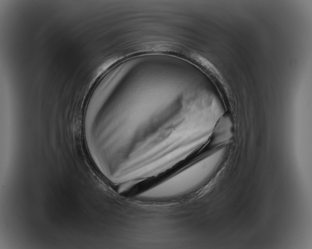 X0000082951081200703020144