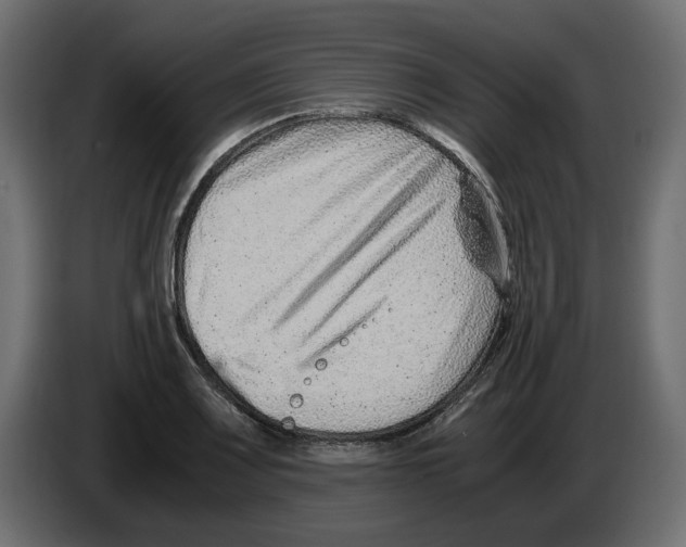 X0000082951083200703020144