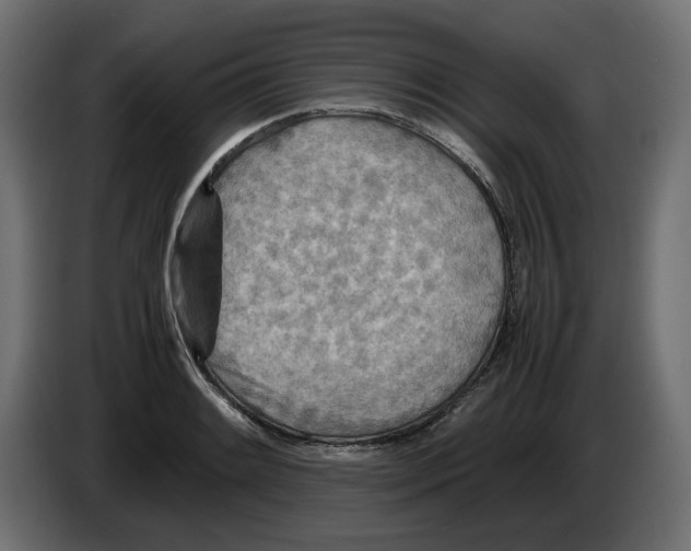 X0000082951084200703020144