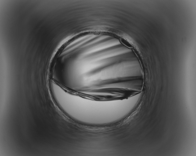 X0000082951085200703020144