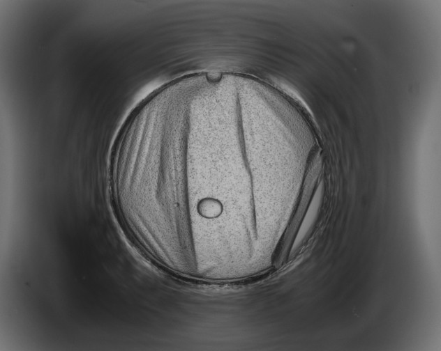 X0000082951087200703020144