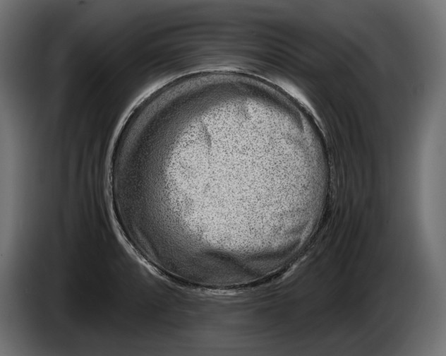 X0000082951088200703020144