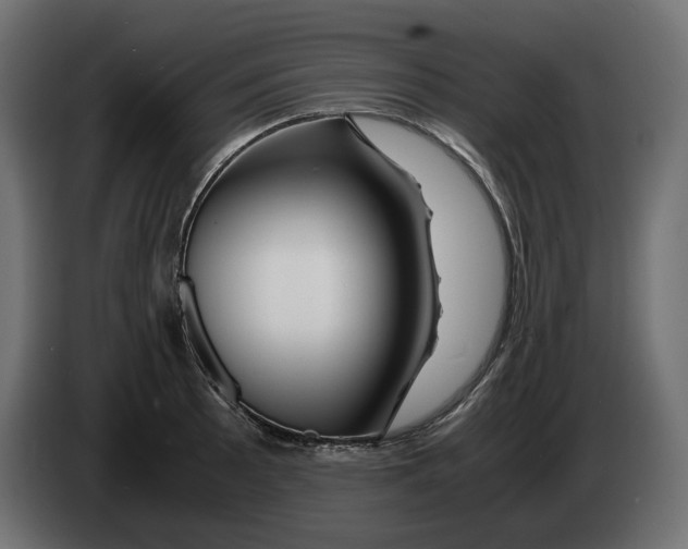 X0000082951089200703020144