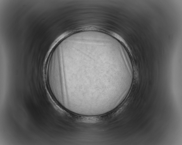 X0000082951090200703020144