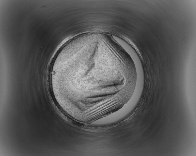 X0000082951091200703020144