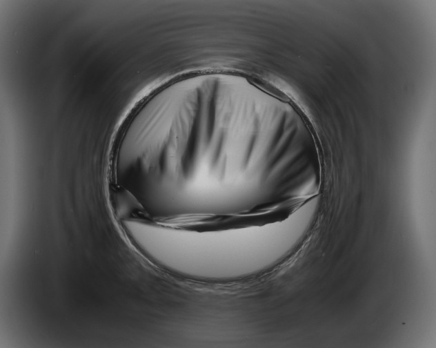 X0000082951093200703020144