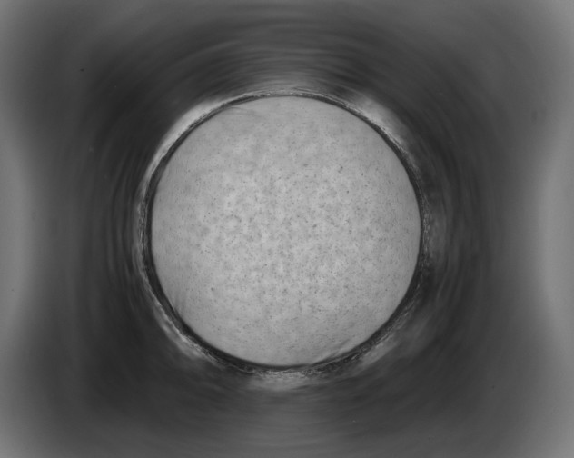 X0000082951094200703020144