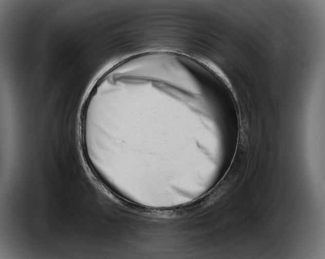 X0000082951096200703020144