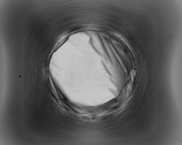 X0000082951097200703020144