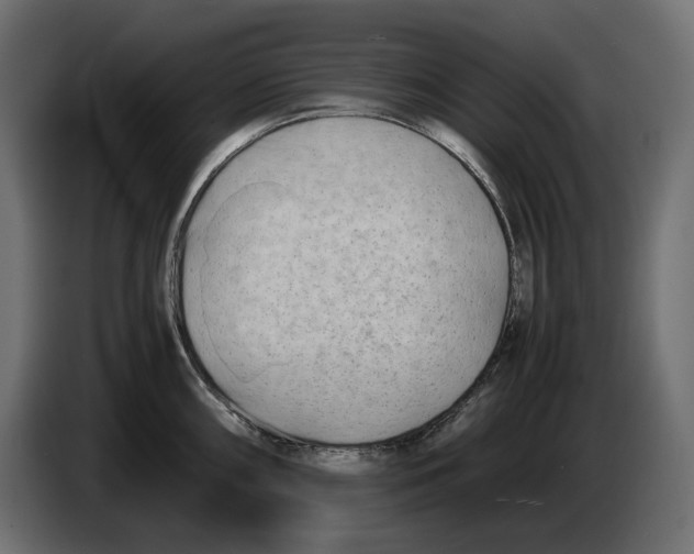 X0000082951098200703020144