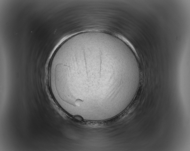 X0000082951099200703020144