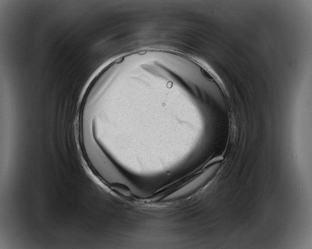 X0000082951100200703020144