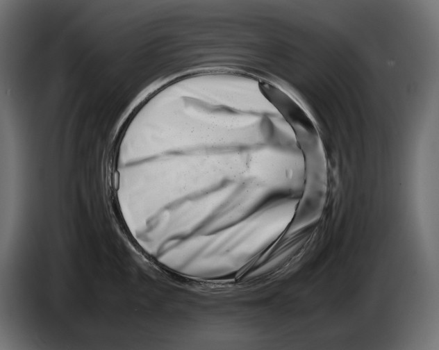 X0000082951101200703020144