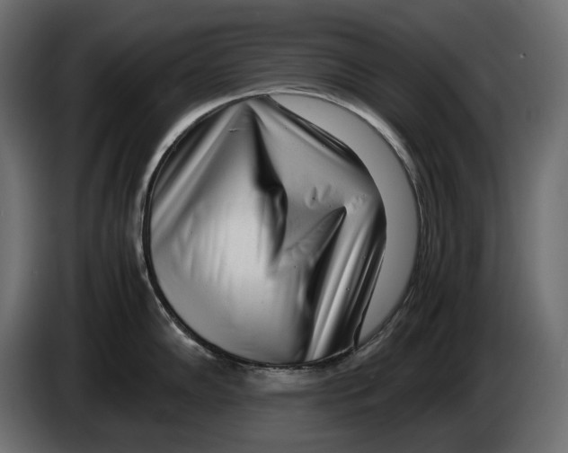 X0000082951102200703020144