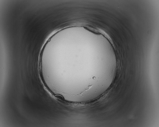 X0000082951103200703020144