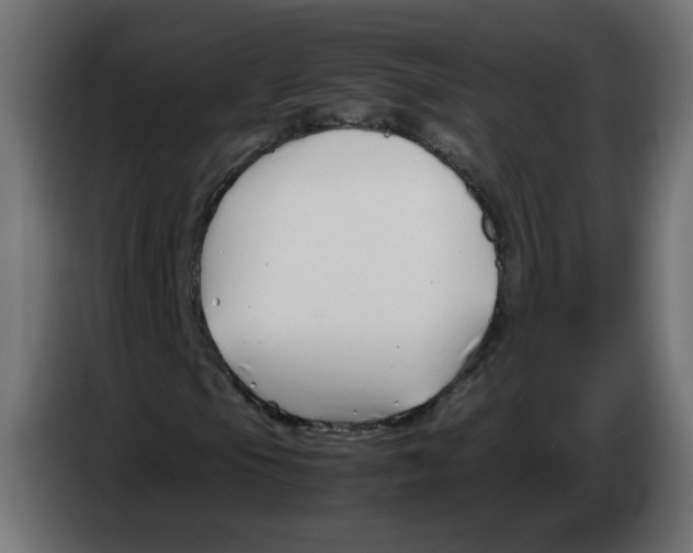 X0000082951105200703020143