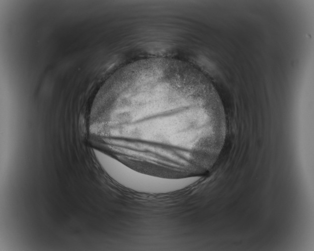 X0000082951106200703020143