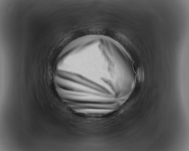 X0000082951107200703020143