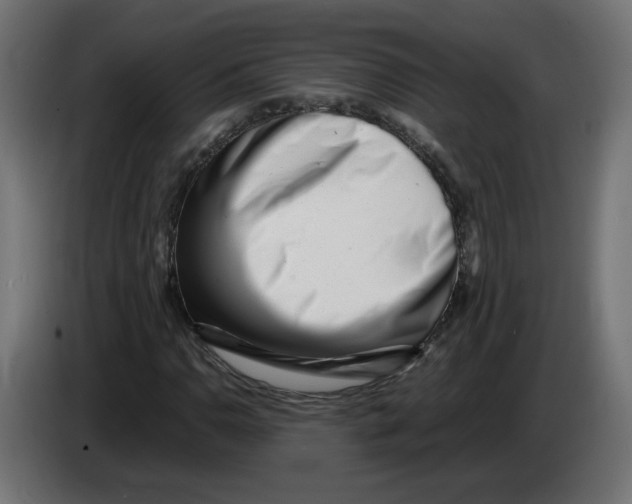 X0000082951110200703020143