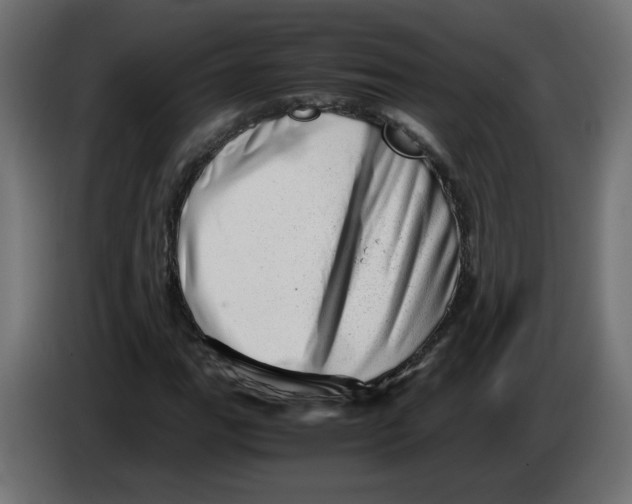 X0000082951111200703020143