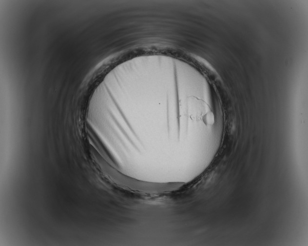 X0000082951112200703020143