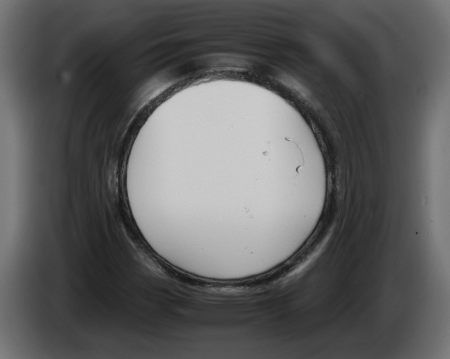 X0000082951113200703020143