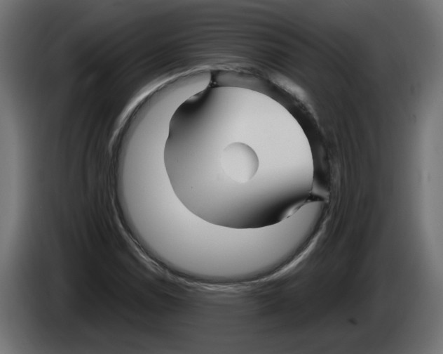 X0000082951114200703020143