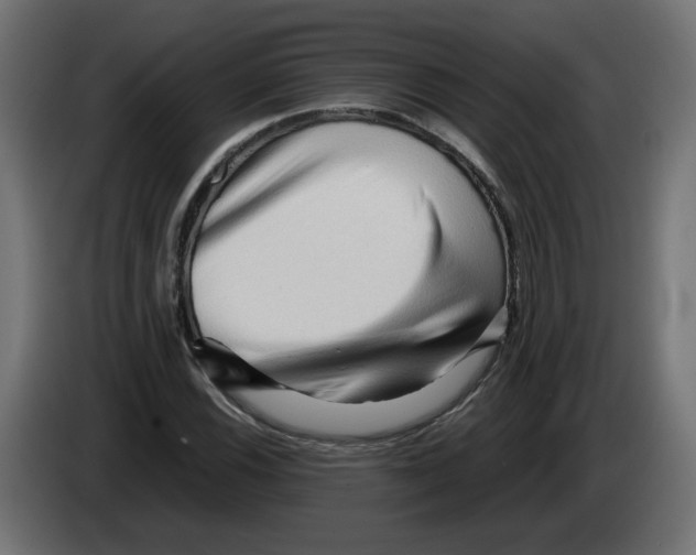 X0000082951116200703020143