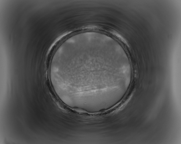 X0000082951117200703020143