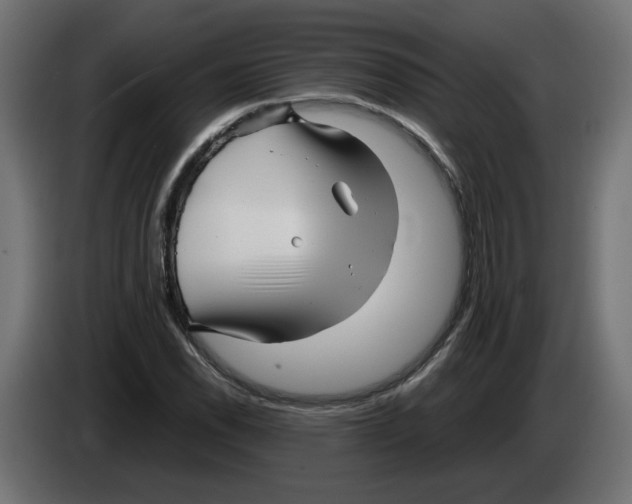 X0000082951118200703020143