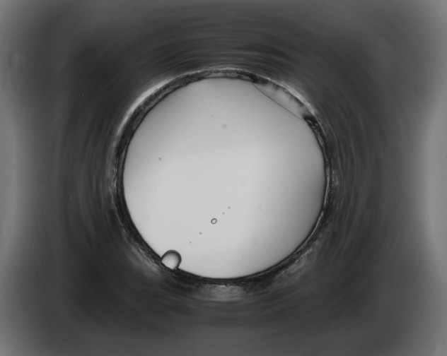 X0000082951119200703020143