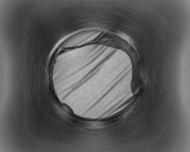 X0000082951120200703020143