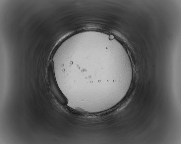 X0000082951121200703020143