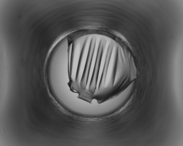 X0000082951122200703020143