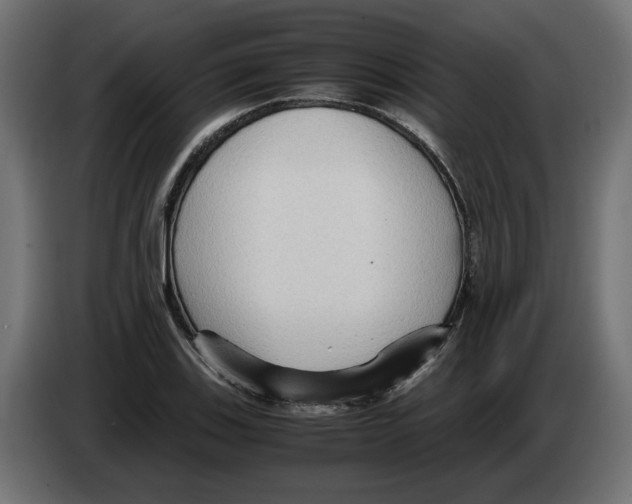 X0000082951123200703020143