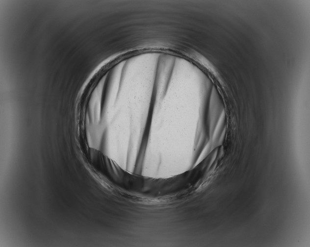 X0000082951124200703020143