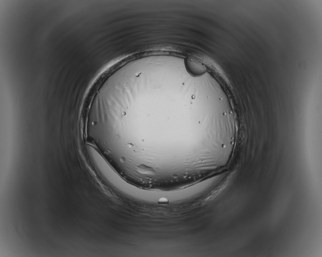 X0000082951125200703020143