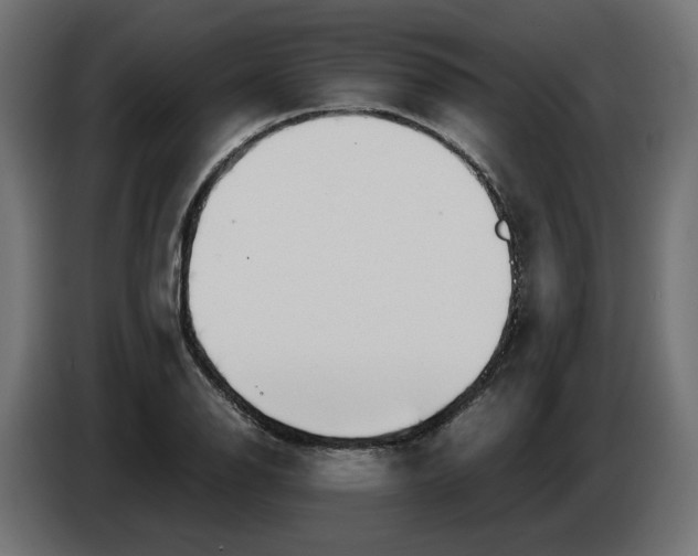 X0000082951126200703020143