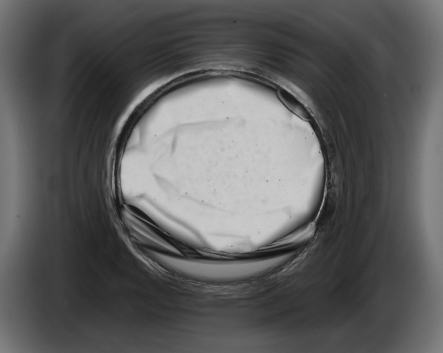 X0000082951128200703020143