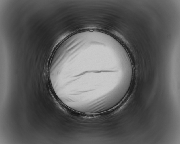 X0000082951129200703020143