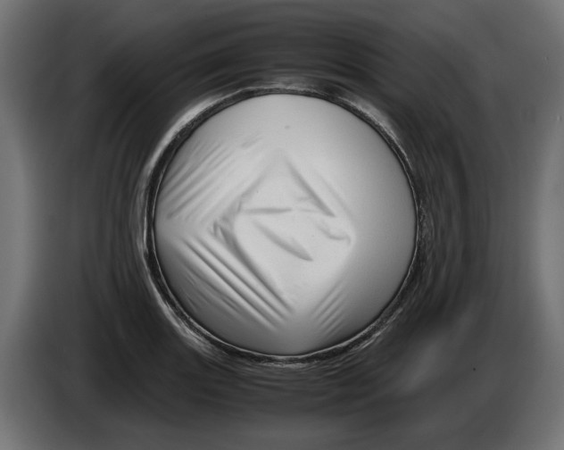 X0000082951131200703020143