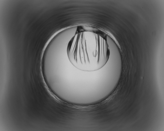 X0000082951132200703020143